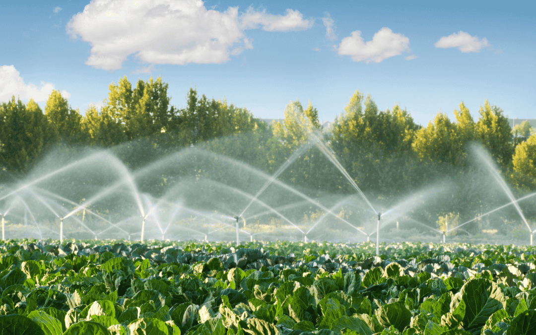 Commercial Irrigation (1)